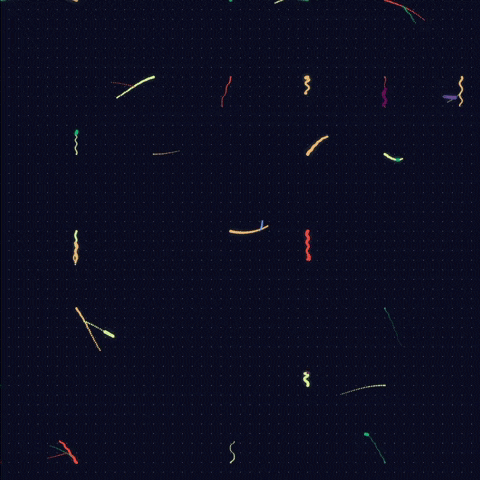 Nervous System 神經系統